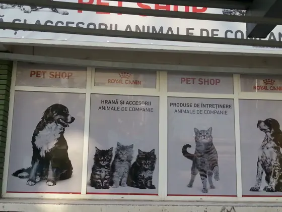 Vitrinele magazinului cu câini și pisici