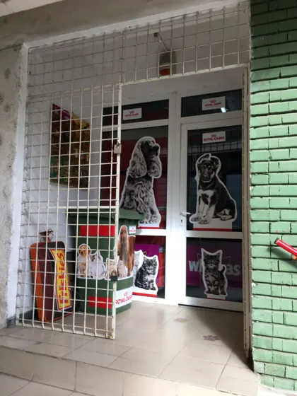 Intrarea în magazin, cu ușa albă și afișele cu câini și pisici