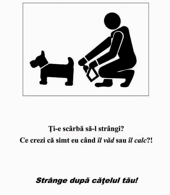 Afișul nostru: Strânge după cățelul tău!